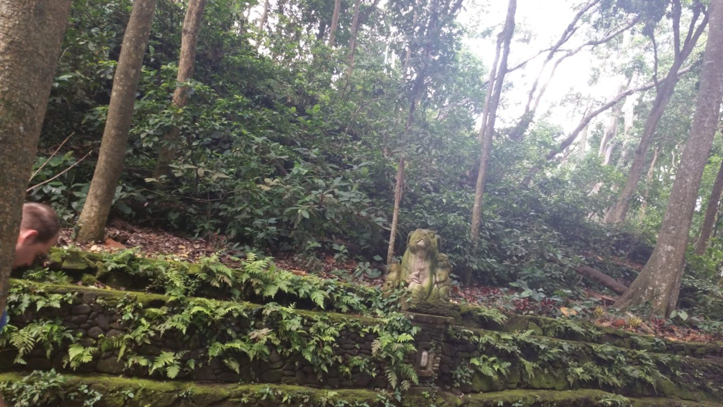 monkey forest sanctuary