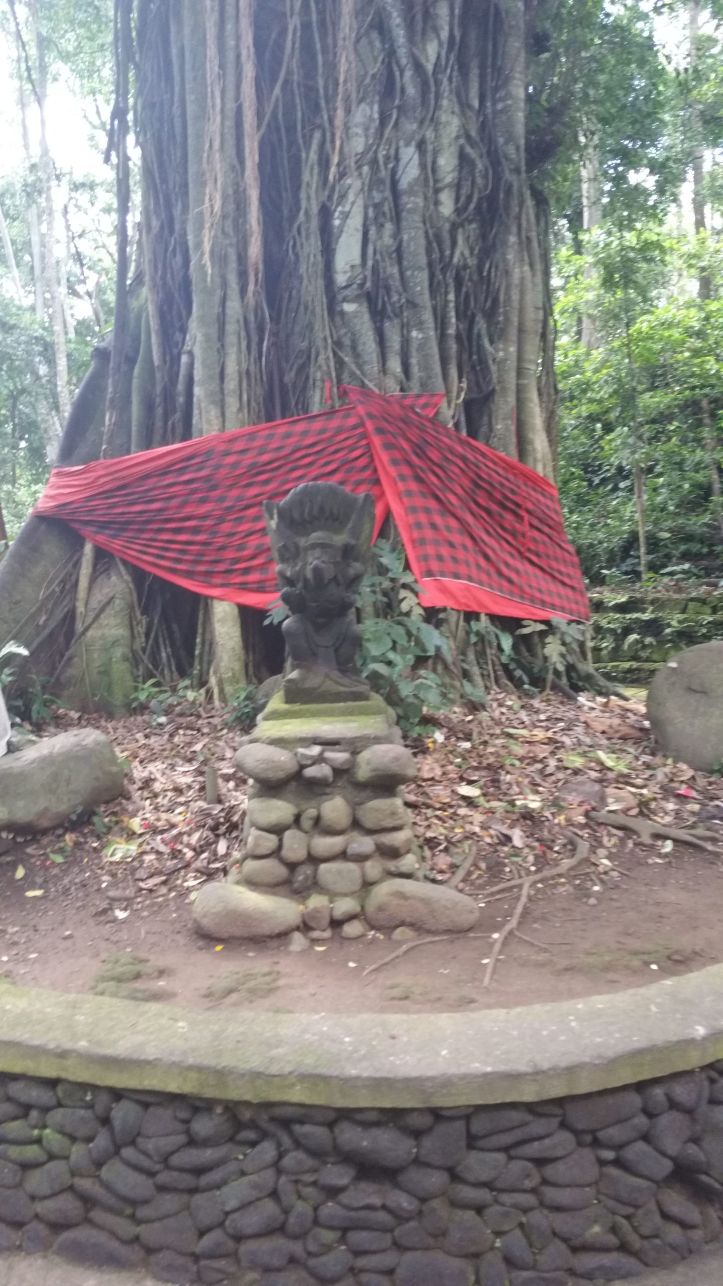 monkey forest sanctuary