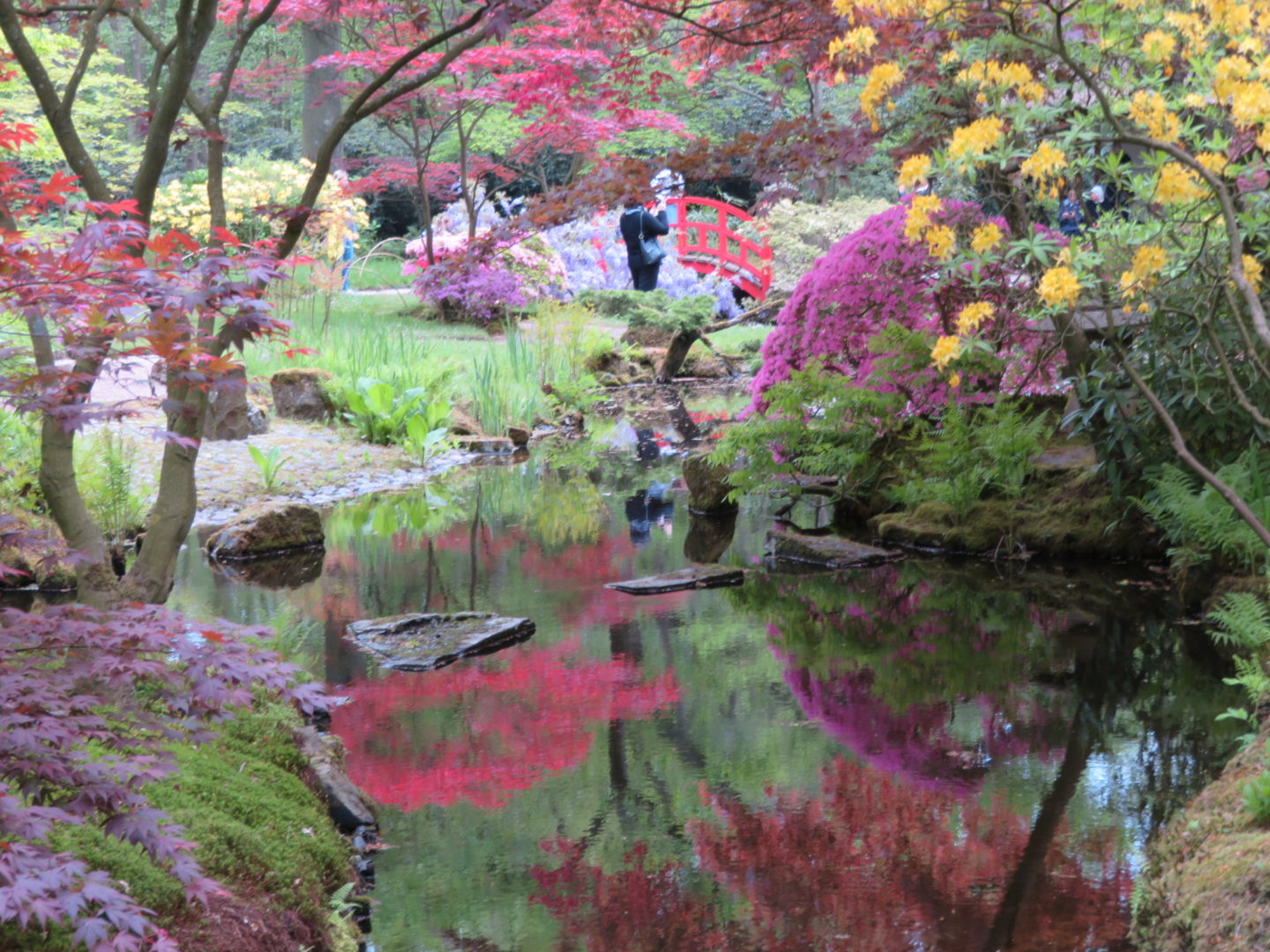 Japanse tuin