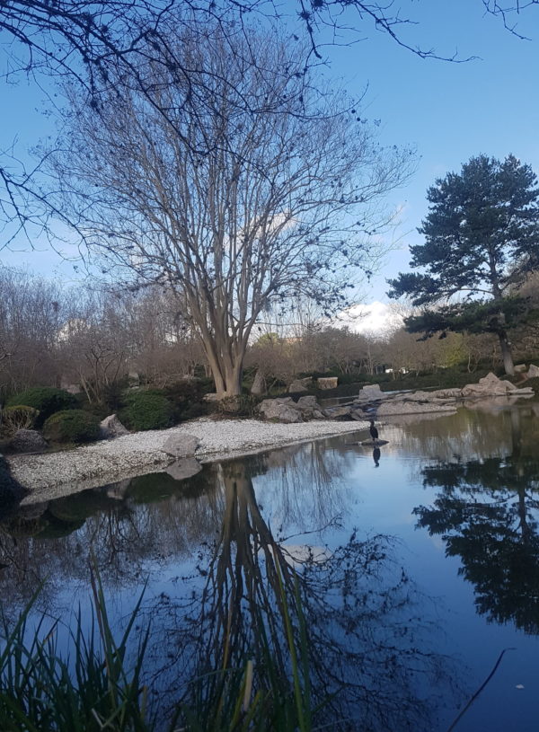 Houston – Japanese Garden